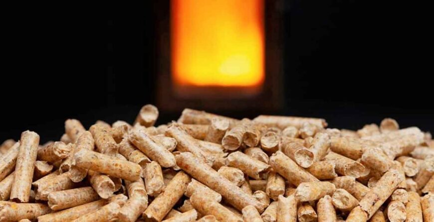 odun pelet pellet nedir