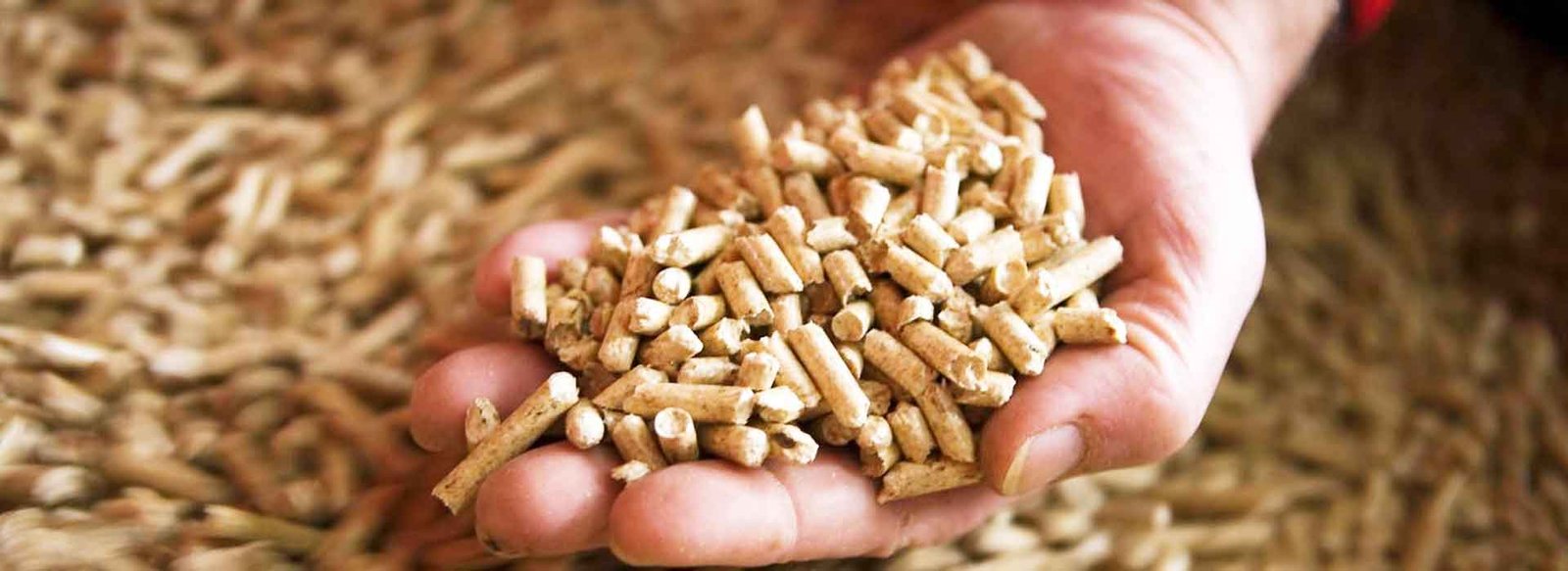 odun pelet pellet fiyatları 2023