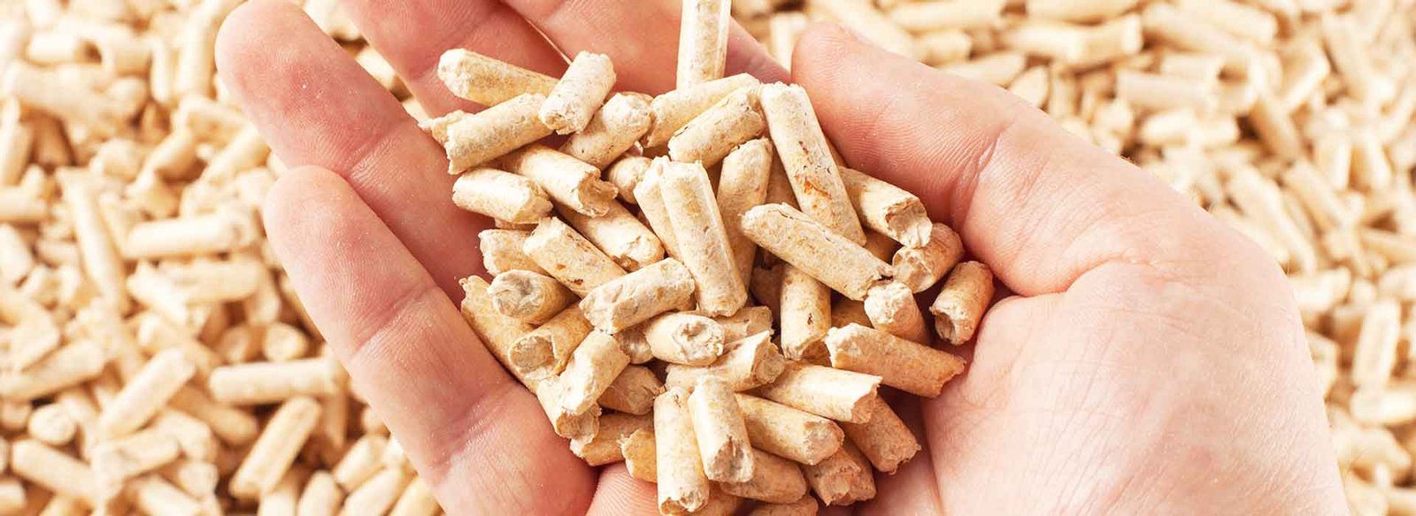 pelet pellet odun fiyatları