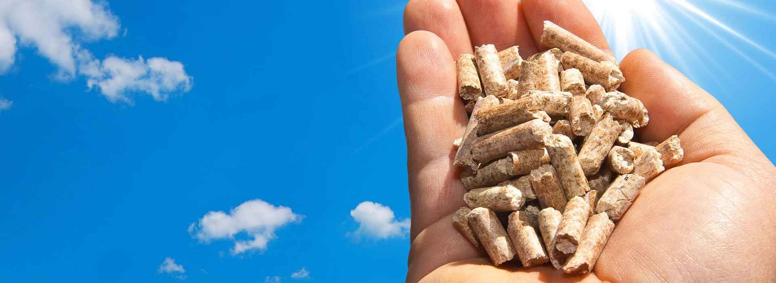 pelet pellet odun kullanımı