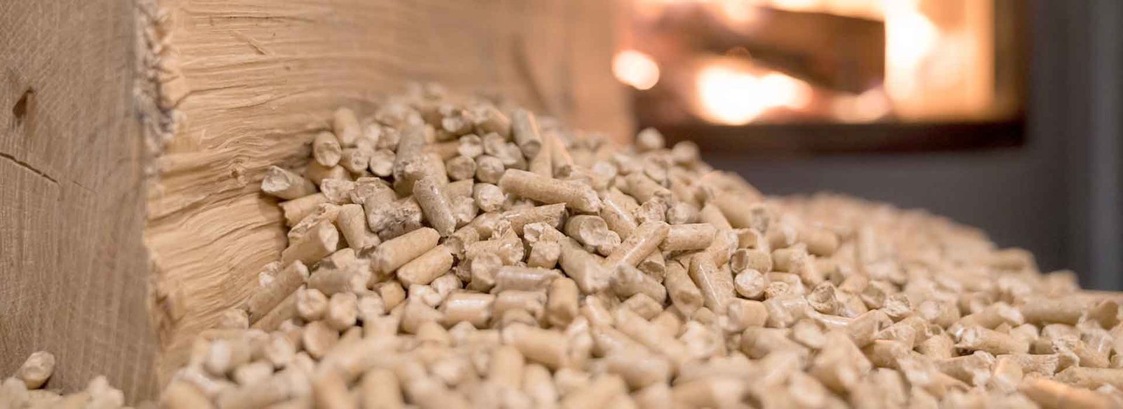 Compressed pine pellets online